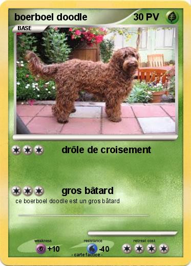 Pokemon boerboel doodle