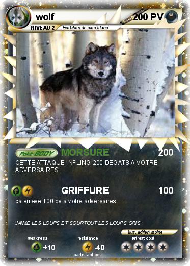 Pokemon wolf