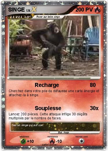 Pokemon SINGE