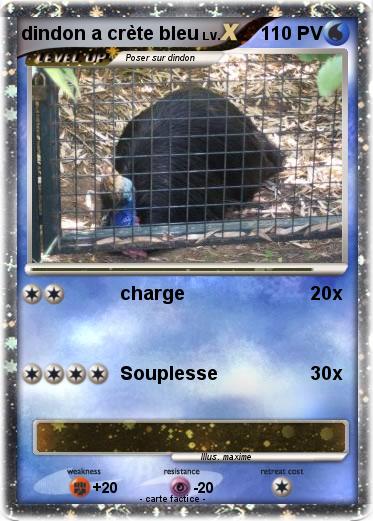 Pokemon dindon a crète bleu