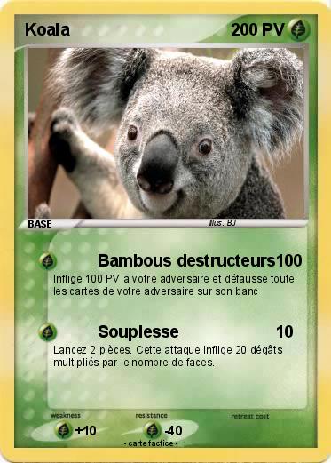 Pokemon Koala