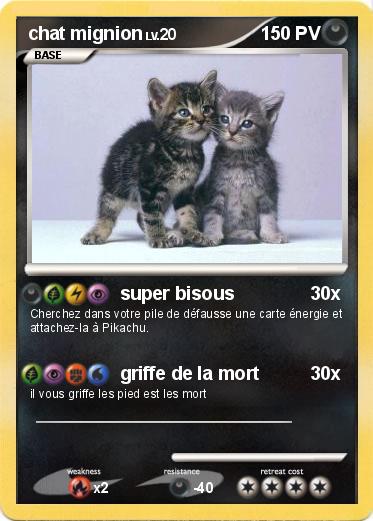 Pokemon chat mignion