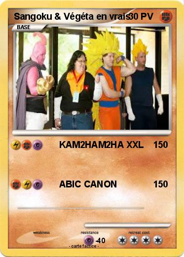 Pokemon Sangoku & Végéta en vrais
