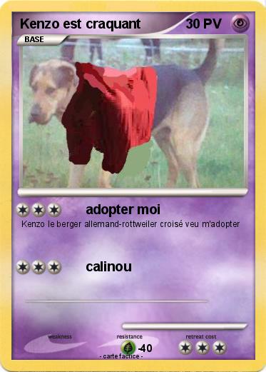 Pokemon Kenzo est craquant