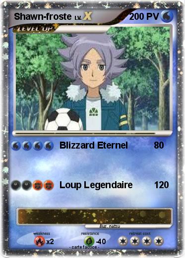 Pokemon Shawn-froste