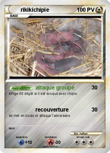 Pokemon rikikichipie