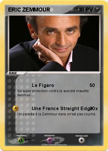 Pokemon ERIC ZEMMOUR
