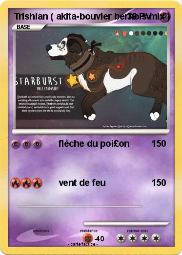 Pokemon Trishian ( akita-bouvier bernois mix )