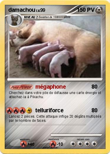 Pokemon damachou