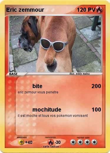 Pokemon Eric zemmour