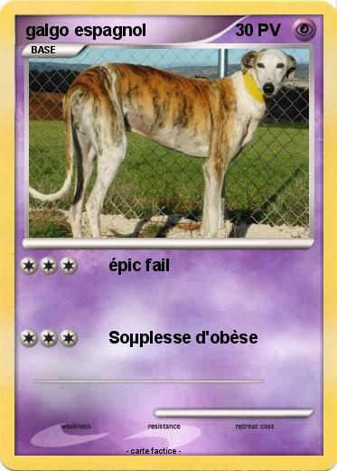 Pokemon galgo espagnol