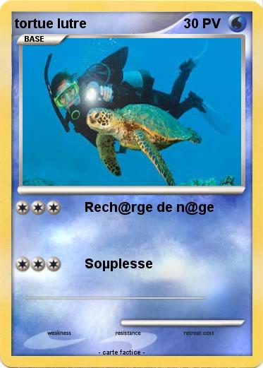 Pokemon tortue lutre