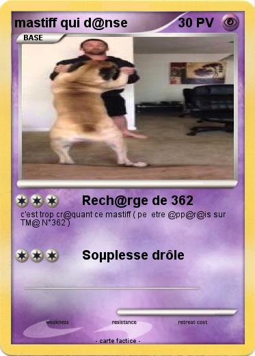 Pokemon mastiff qui d@nse