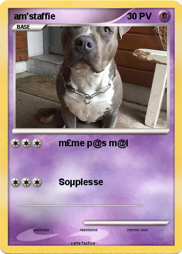 Pokemon am'staffie