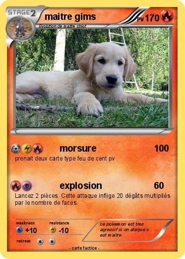 Pokemon maitre gims