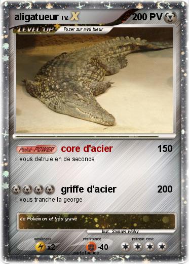 Pokemon aligatueur