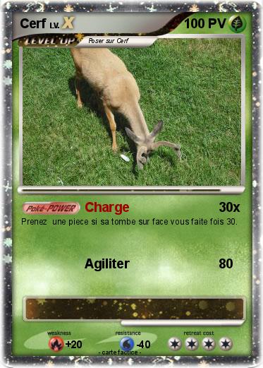 Pokemon Cerf