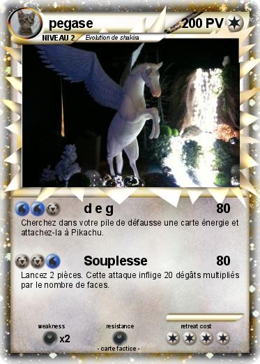Pokemon pegase