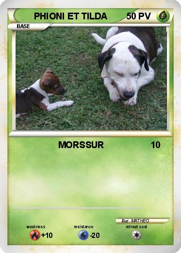 Pokemon PHIONI ET TILDA