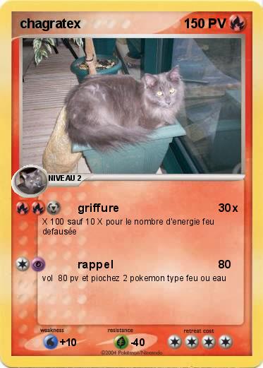 Pokemon chagratex