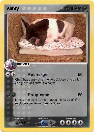Pokemon samy