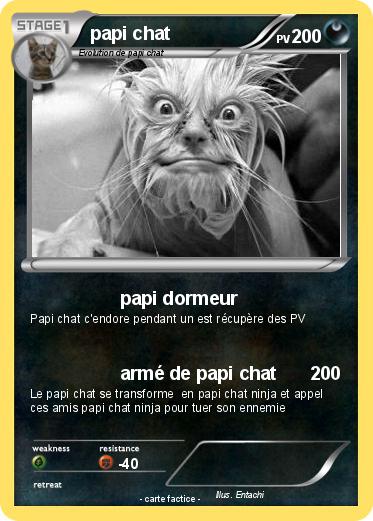 Pokemon papi chat