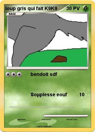 Pokemon loup gris qui fait K9K9