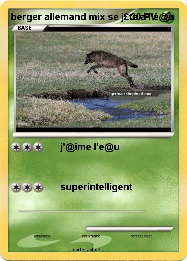 Pokemon berger allemand mix se j£te a l'e@u