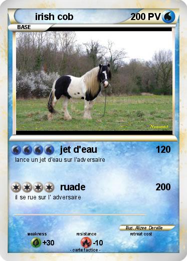 Pokemon irish cob