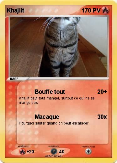 Pokemon Khajiit
