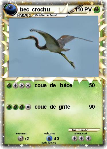 Pokemon bec  crochu