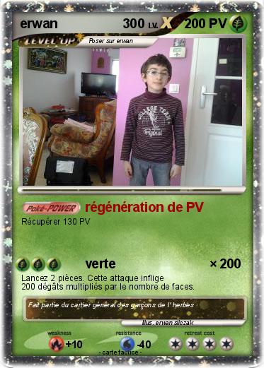 Pokemon erwan                  300
