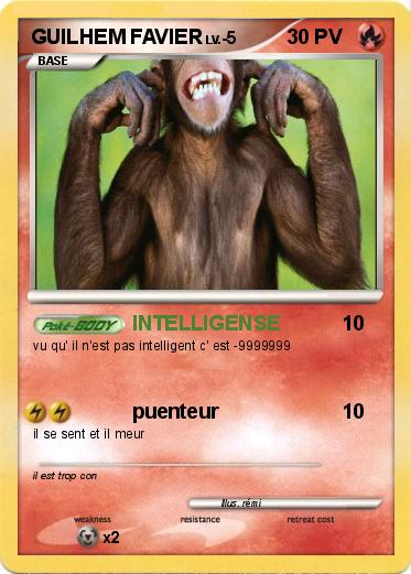 Pokemon GUILHEM FAVIER