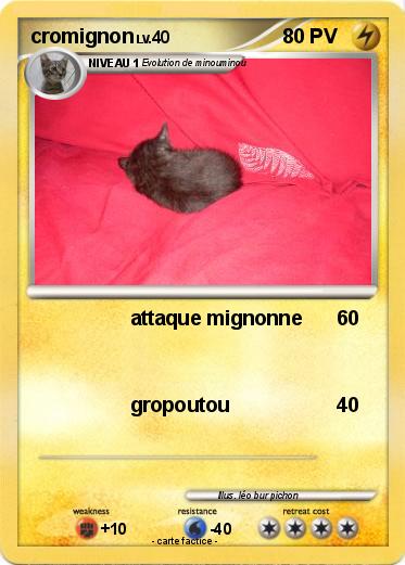 Pokemon cromignon