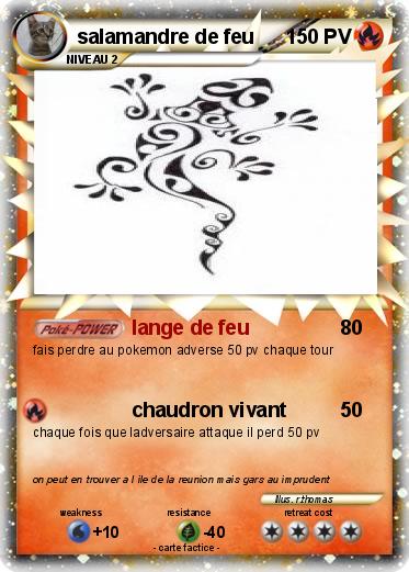 Pokemon salamandre de feu