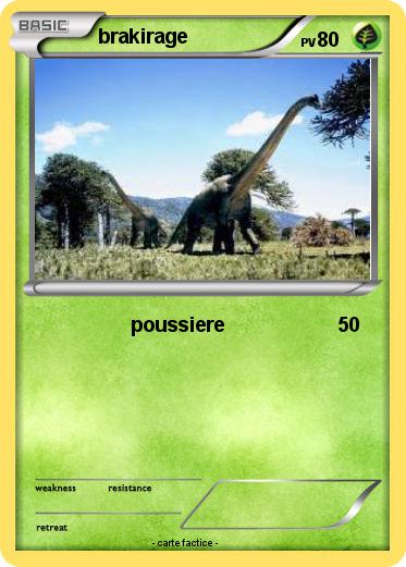 Pokemon brakirage
