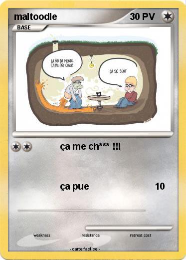 Pokemon maltoodle