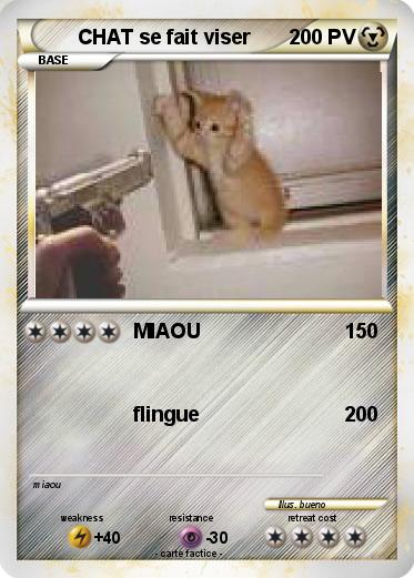 Pokemon CHAT se fait viser