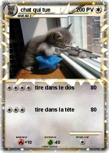 Pokemon chat qui tue