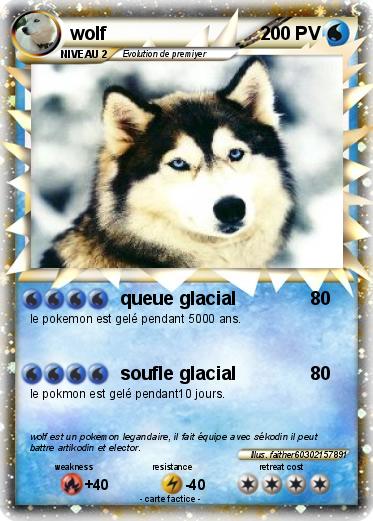 Pokemon wolf