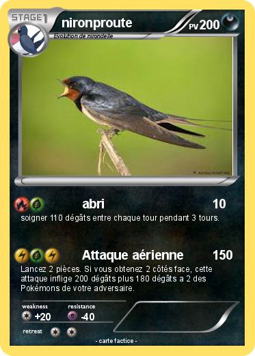 Pokemon nironproute
