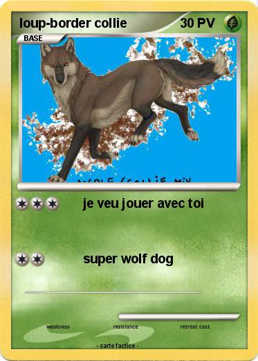 Pokemon loup-border collie