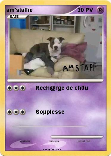 Pokemon am'staffie