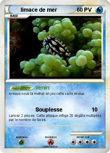 Pokemon limace de mer