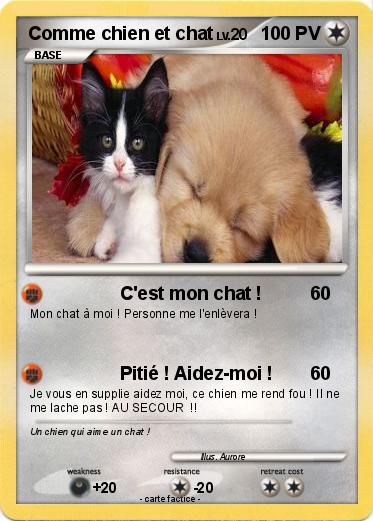 Pokemon Comme chien et chat