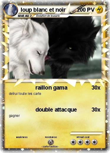 Pokemon loup blanc et noir