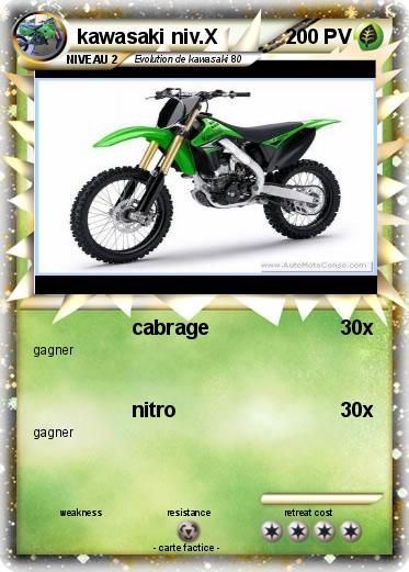 Pokemon kawasaki niv.X