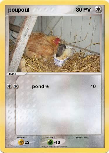 Pokemon poupoul