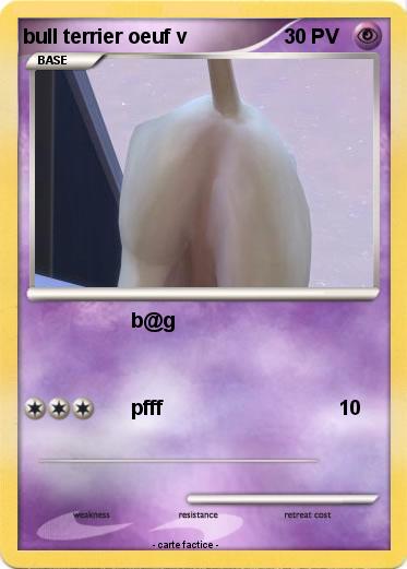 Pokemon bull terrier oeuf v