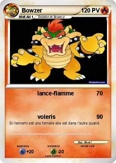 Pokemon Bowzer
